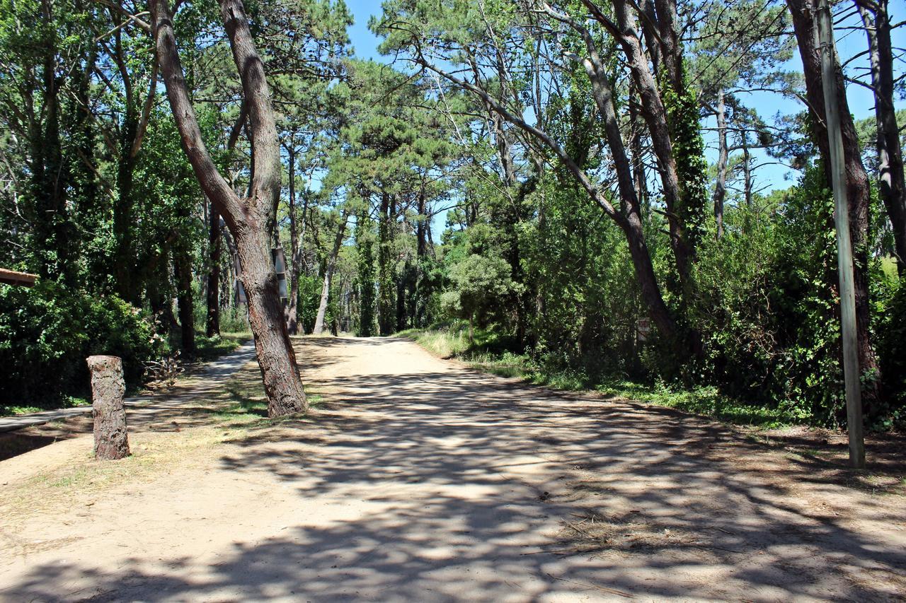 비야 헤셀 Ramma Camping 호스텔 외부 사진